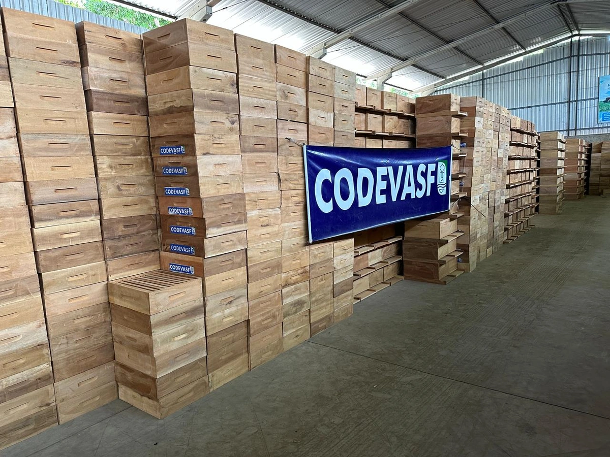 Codevasf entrega 10 mil colmeias e projeta 500 toneladas de mel por ano no Piauí
