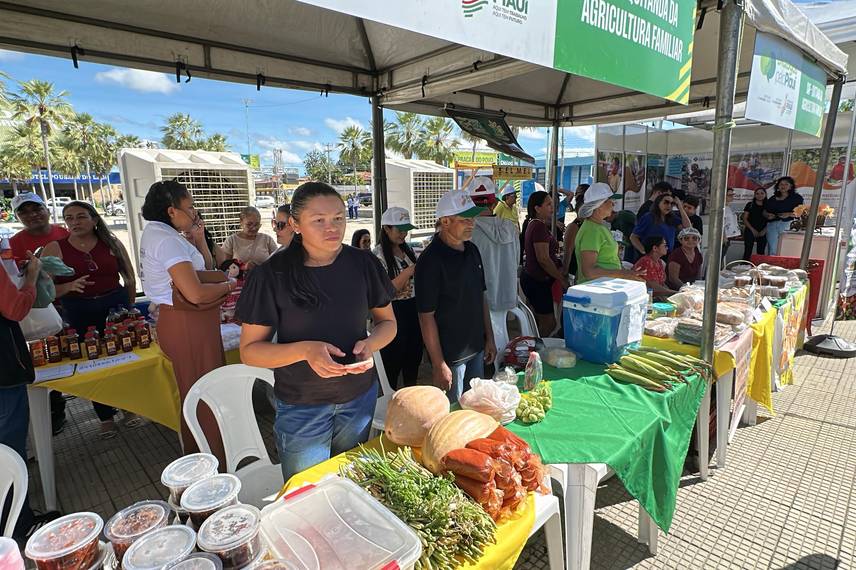Feira do Diálogos pelo Piauí oferece serviços e reforça cidadania em Campo Maior Feira do Diálogos pelo Piauí oferece serviços e reforça cidadania em Campo Maior