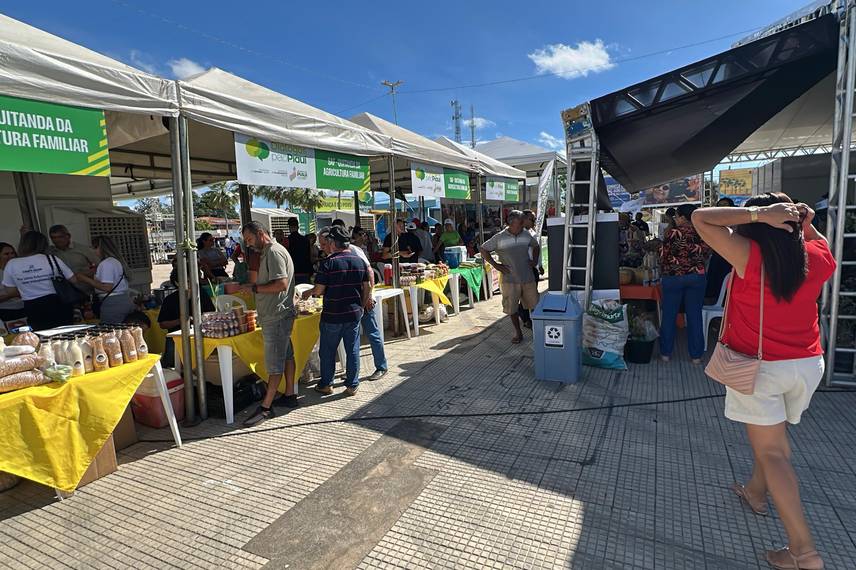 Feira do Diálogos pelo Piauí oferece serviços e reforça cidadania em Campo Maior Feira do Diálogos pelo Piauí oferece serviços e reforça cidadania em Campo Maior