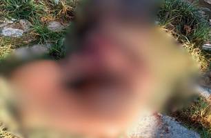 Homem é encontrado morto com ferimentos na cabeça em via pública de Parnaíba (Foto: Reprodução)