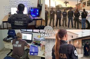 PF deflagra operação e prende suspeito por crimes sexuais contra crianças no Piauí (Foto: Reprodução)