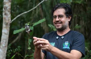 Prefeitura de Timon realiza soltura de aves silvestres no Sítio Tamboril (Foto: Reprodução)