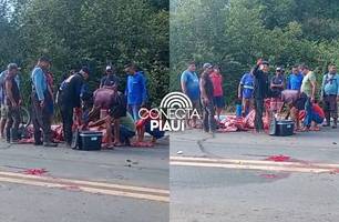 Vaca morre atropelada na estrada de Altos e carne é saqueada por populares (Foto: Reprodução)