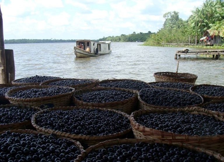 Açaí