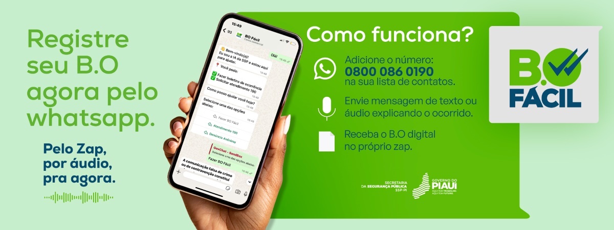 BO Fácil: Piauí é o primeiro estado do Brasil a ter boletim de ocorrência no Whats