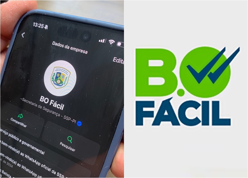 BO Fácil: Piauí é o primeiro estado do Brasil a ter boletim de ocorrência no Whats