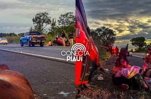 Casal fica ferido após colisão com cavalos na BR-343; um animal morreu no local (Foto: Reprodução)