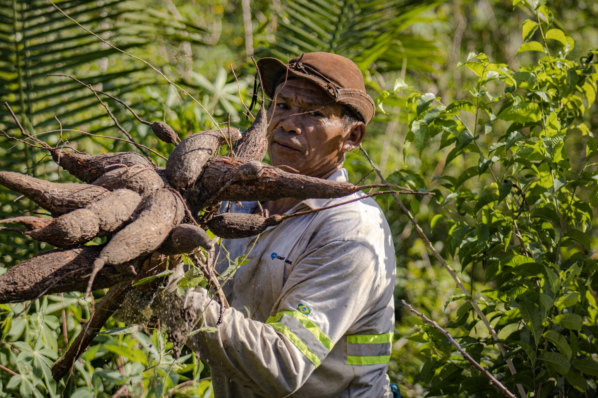 Com a mandioca no ombro, Seu Zé carrega mais que alimento: leva sustento e tradição.