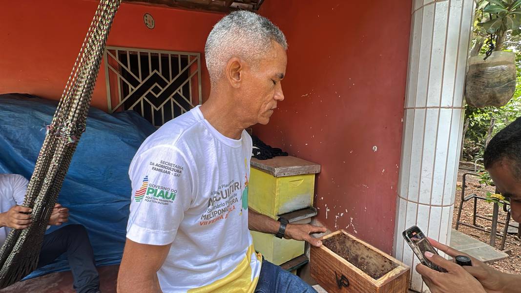 Com sabor e trabalho coletivo, mel do Piauí é um dos melhores do Brasil