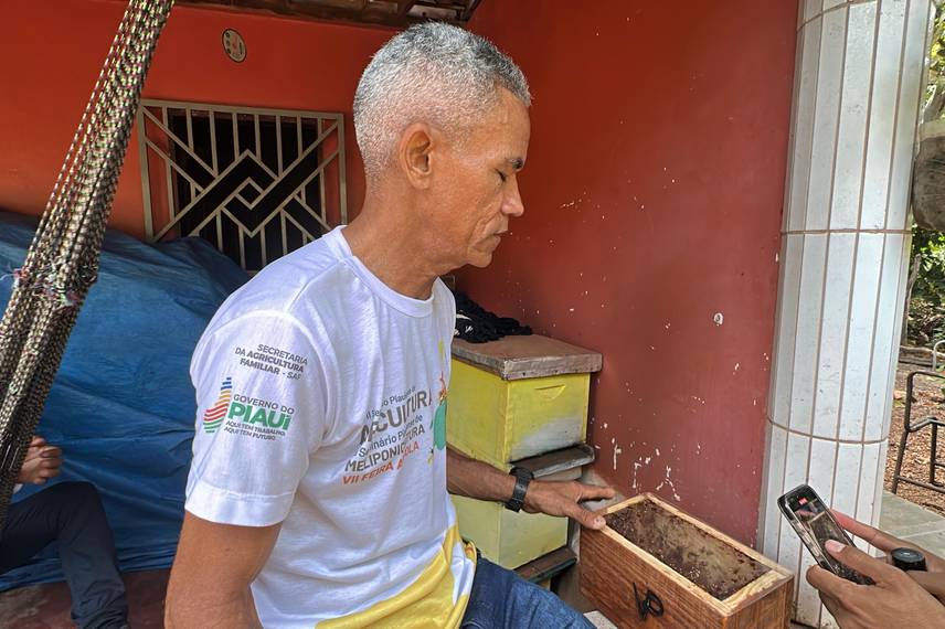 Com sabor e trabalho coletivo, mel do Piauí é um dos melhores do Brasil Com sabor e trabalho coletivo, mel do Piauí é um dos melhores do Brasil