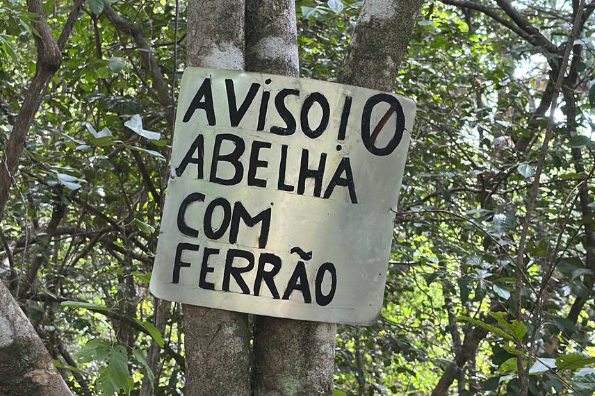 Com sabor e trabalho coletivo, mel do Piauí é um dos melhores do Brasil Com sabor e trabalho coletivo, mel do Piauí é um dos melhores do Brasil