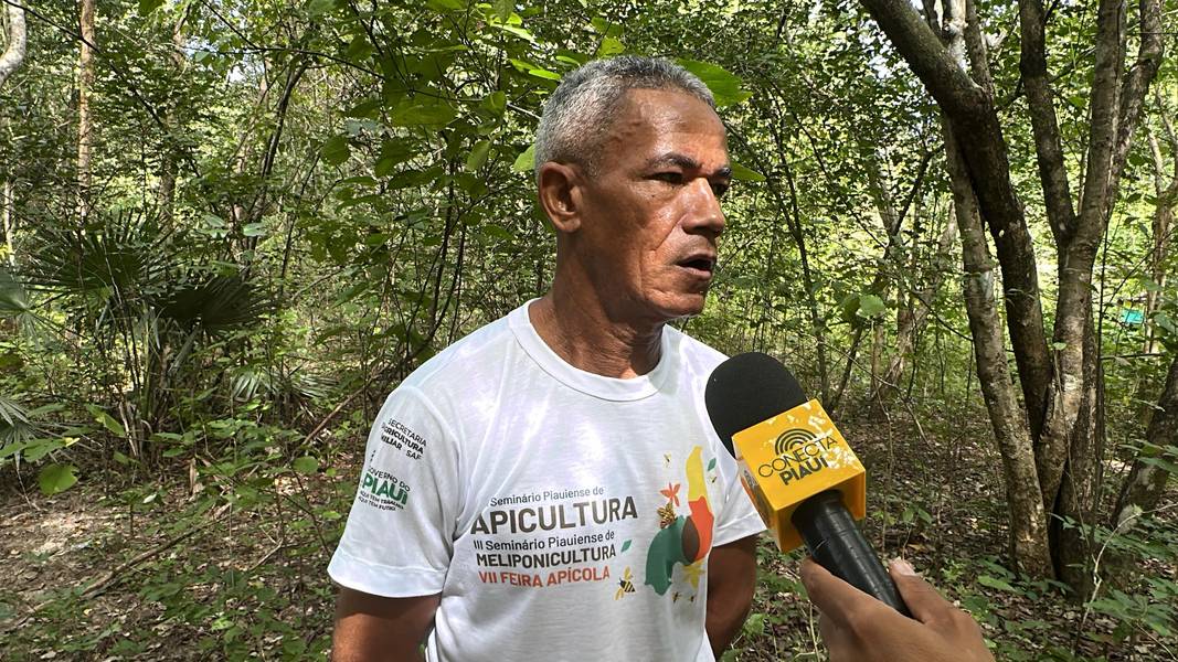 Com sabor e trabalho coletivo, mel do Piauí é um dos melhores do Brasil