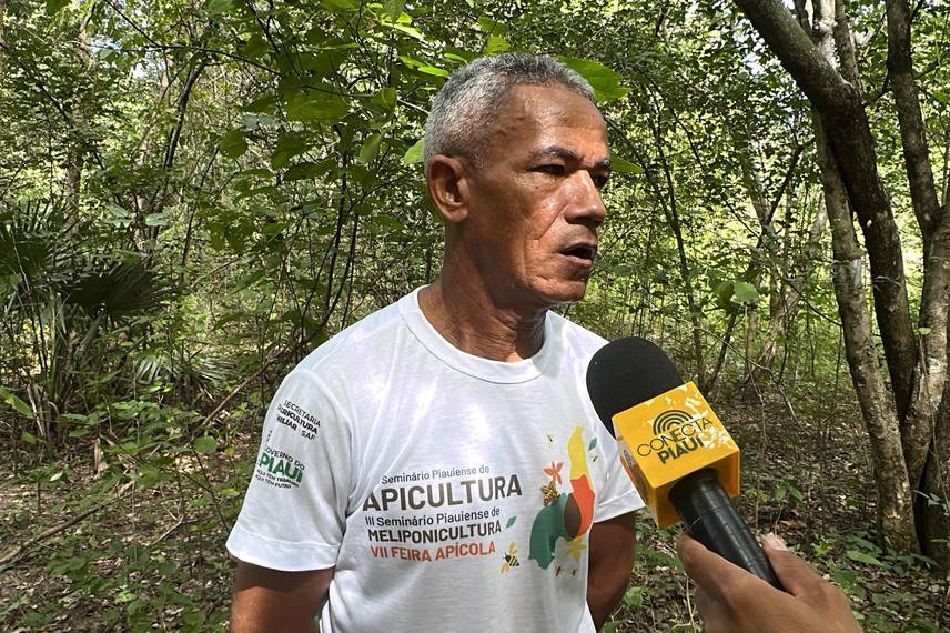 Com sabor e trabalho coletivo, mel do Piauí é um dos melhores do Brasil Com sabor e trabalho coletivo, mel do Piauí é um dos melhores do Brasil