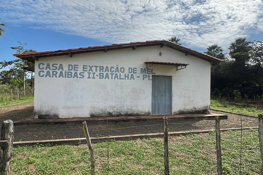 Com sabor e trabalho coletivo, mel do Piauí é um dos melhores do Brasil Com sabor e trabalho coletivo, mel do Piauí é um dos melhores do Brasil
