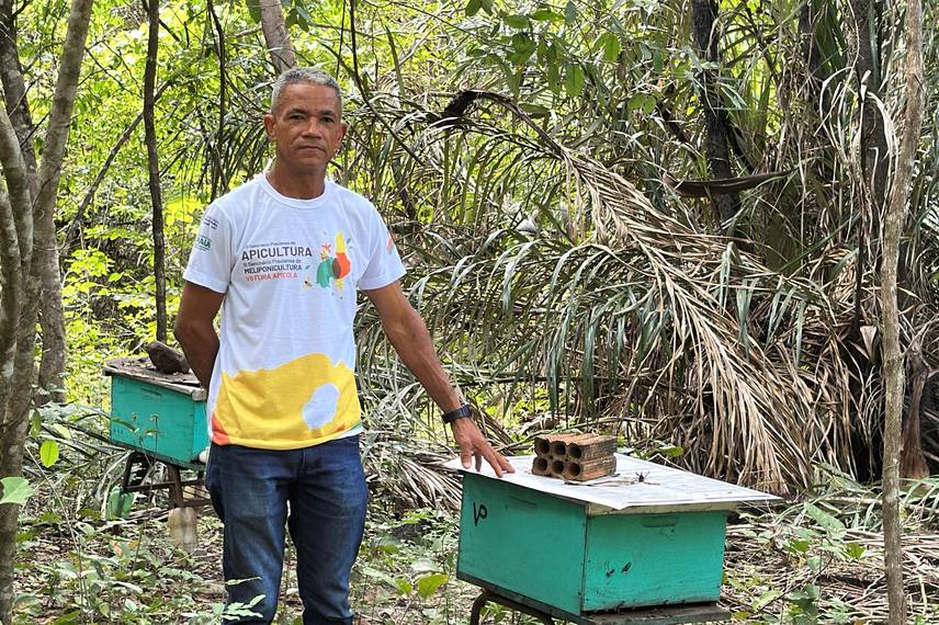 Com sabor e trabalho coletivo, mel do Piauí é um dos melhores do Brasil Com sabor e trabalho coletivo, mel do Piauí é um dos melhores do Brasil
