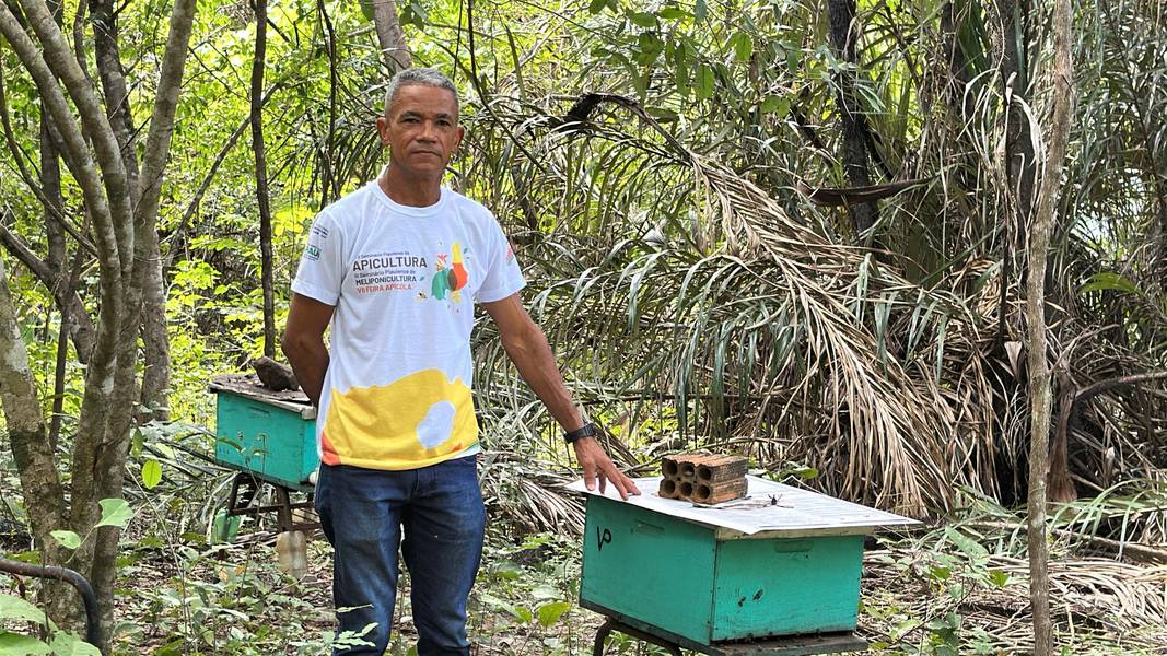 Com sabor e trabalho coletivo, mel do Piauí é um dos melhores do Brasil