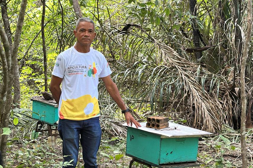 Com sabor e trabalho coletivo, mel do Piauí é um dos melhores do Brasil Com sabor e trabalho coletivo, mel do Piauí é um dos melhores do Brasil
