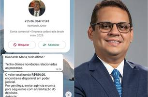 Criminoso usa imagem do presidente da OAB/PI para aplicar golpe em Teresina (Foto: Reprodução)