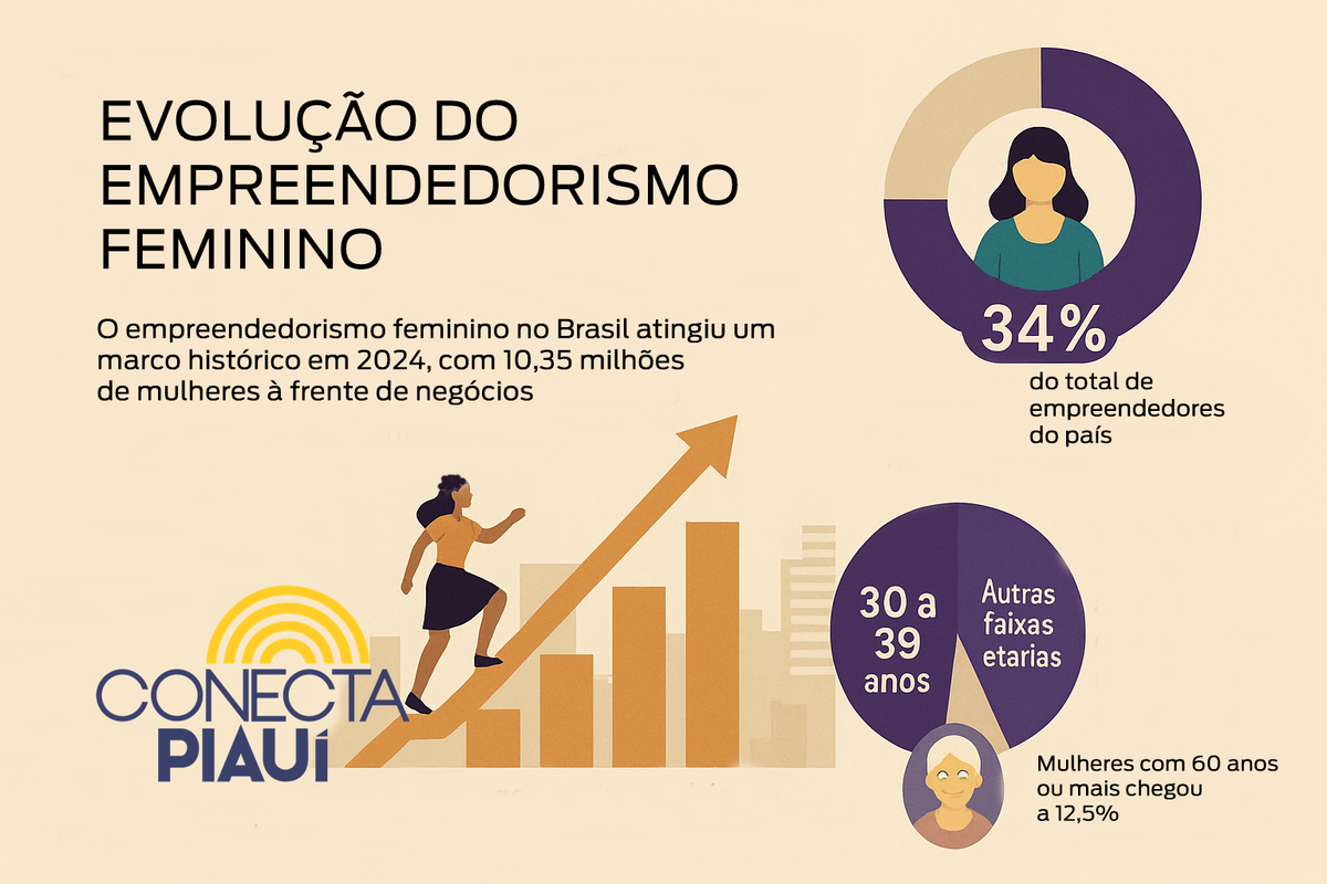 Dados do empreendedorismo feminino no Brasil