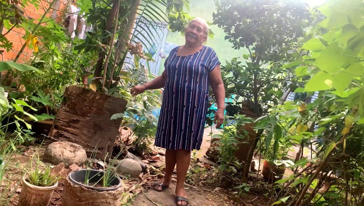 Dona Maria e suas 'plantinhas'