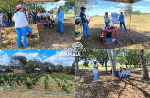 Embrapa Meio-Norte promove Dia de Campo com foco em produção animal integrada (Foto: Assessoria)