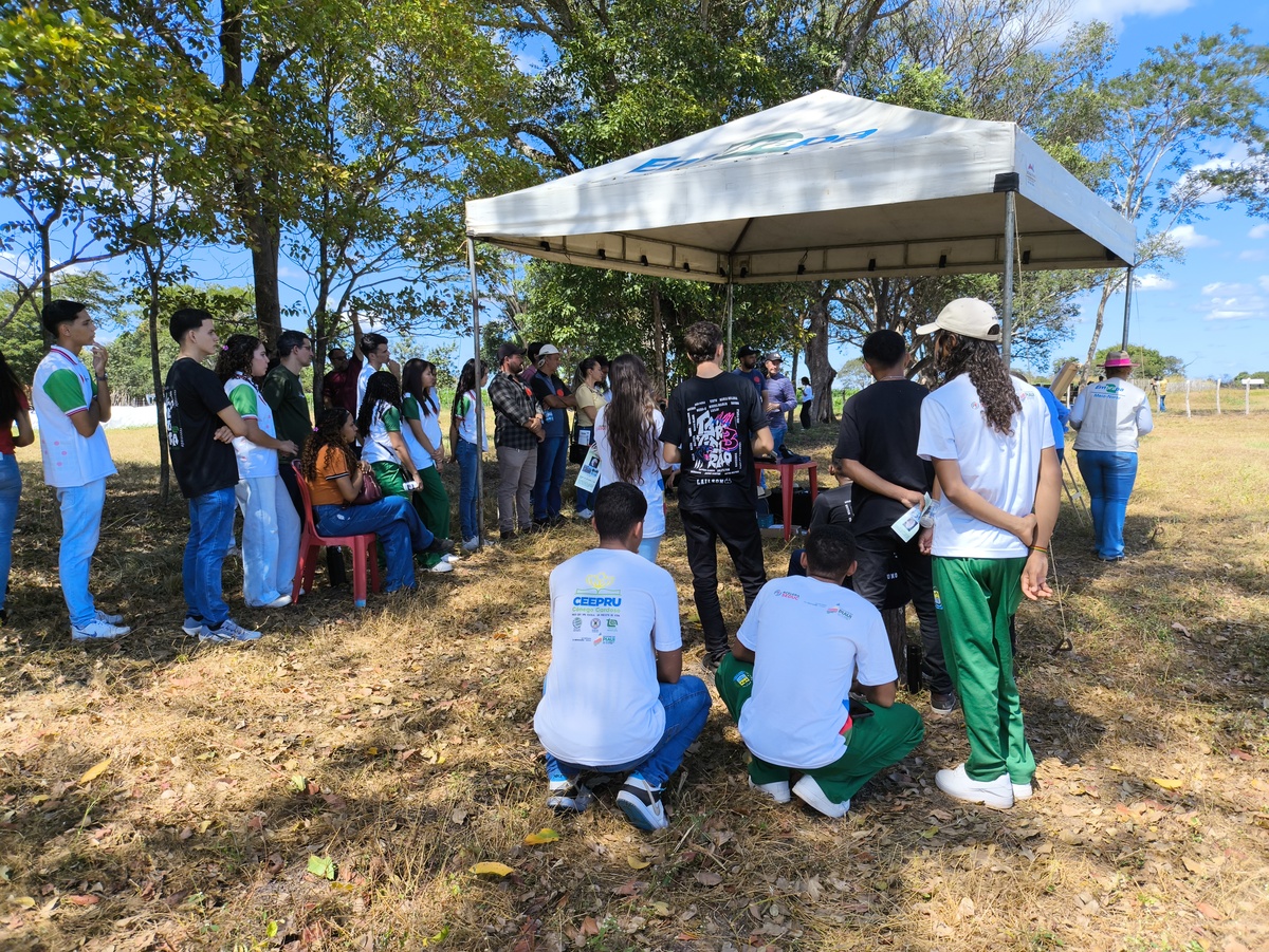 Embrapa Meio-Norte realiza Dia de Campo na Fazenda Sol Posto, em Campo Maior