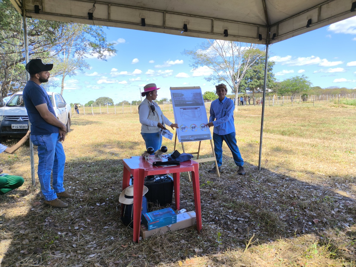 Embrapa Meio-Norte realiza Dia de Campo na Fazenda Sol Posto, em Campo Maior