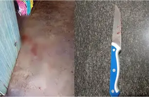 Homem é esfaqueado no rosto e esposa é presa suspeita do crime em Pedro II (Foto: Reprodução)