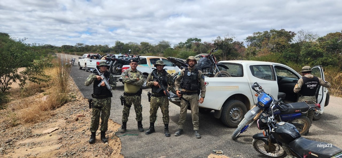 Operação apreende 26 armas e mais de 30 animais silvestres no Sul do Piauí