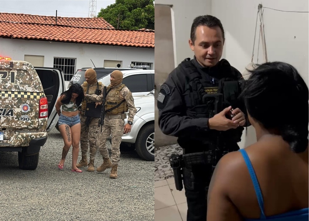 Operação DRACO 223