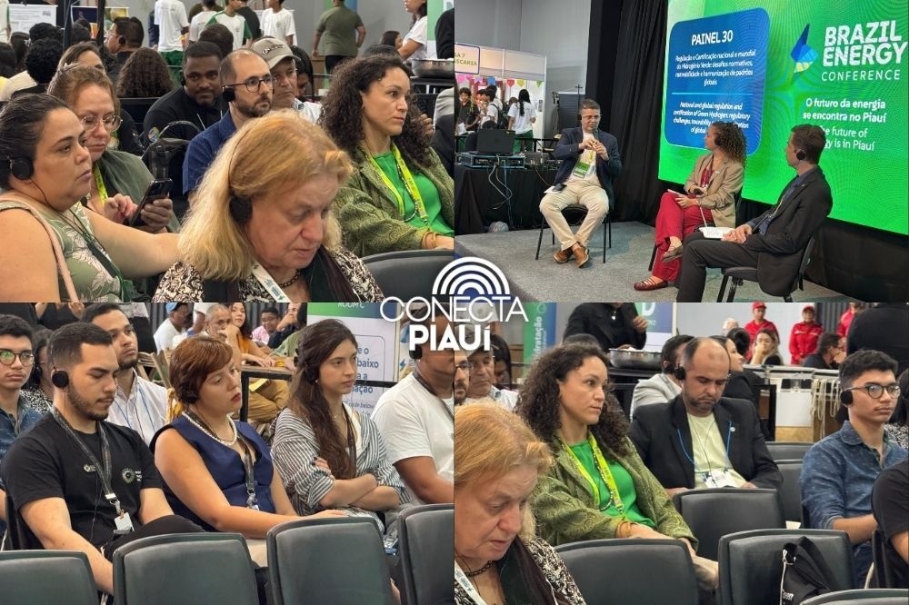 Painel 30 debate regulação e certificação do hidrogênio verde no cenário global