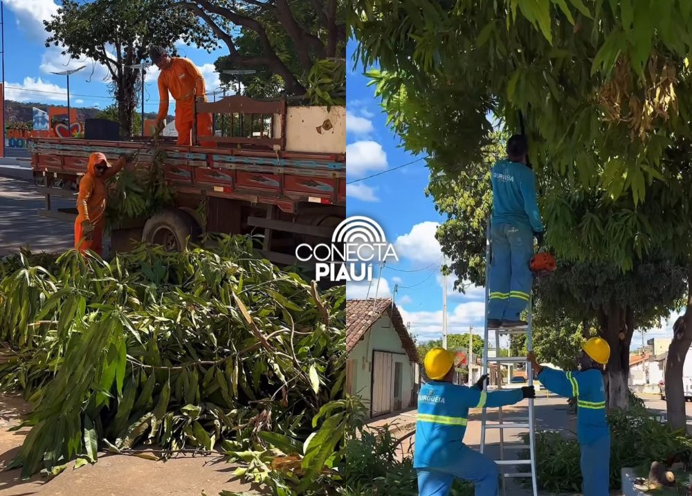 Palmeira do Piauí intensifica ações ambientais com poda e plantio de árvores