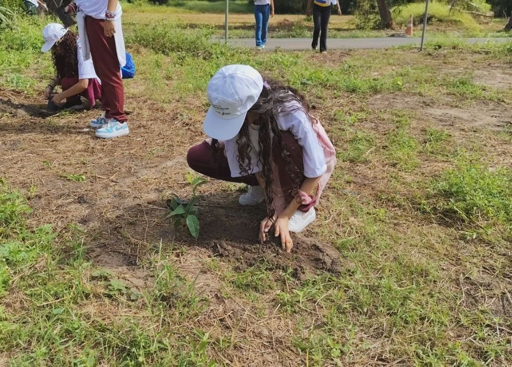 Passagem Franca realiza a I Conferência Municipal de Meio Ambiente nos dias 5 e 6 de junho