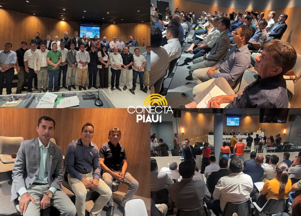 Paulistana participa da audiência “Zero Lixões” e reforça compromisso com o fim dos lixões a céu aberto