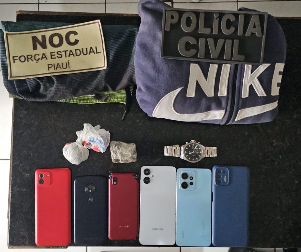 Polícia Civil apreende drogas e detém adolescente na zona leste de Teresina