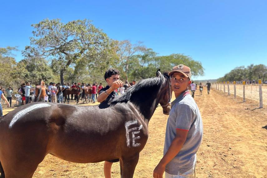 Ribeiro Gonçalves celebra tradição com corrida de prado e pista revitalizada Ribeiro Gonçalves celebra tradição com corrida de prado e pista revitalizada