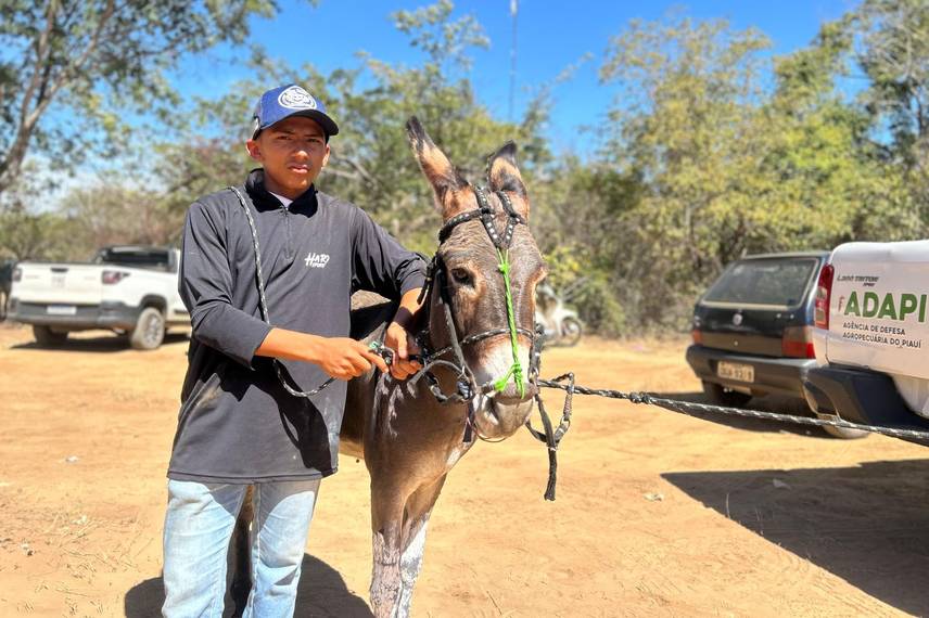 Ribeiro Gonçalves celebra tradição com corrida de prado e pista revitalizada Ribeiro Gonçalves celebra tradição com corrida de prado e pista revitalizada