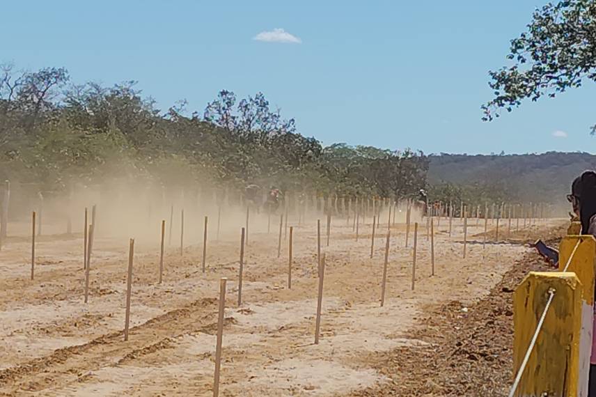 Ribeiro Gonçalves celebra tradição com corrida de prado e pista revitalizada Ribeiro Gonçalves celebra tradição com corrida de prado e pista revitalizada