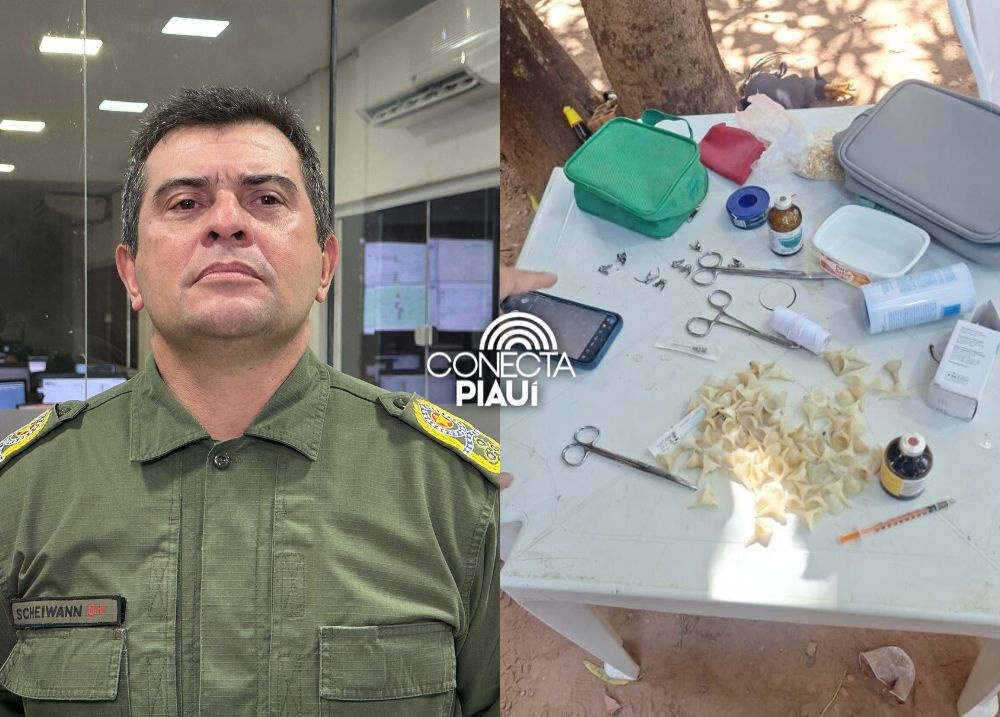 Rinha de galo: PM desarticula grupo e conduz mais de 43 pessoas à Central de Flagrantes em Teresina