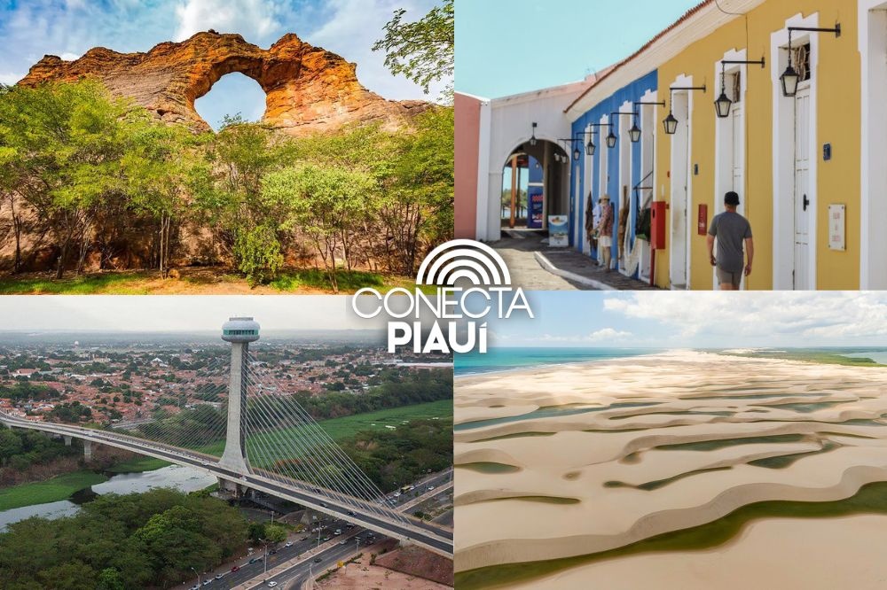 A participação do Turismo ne economia