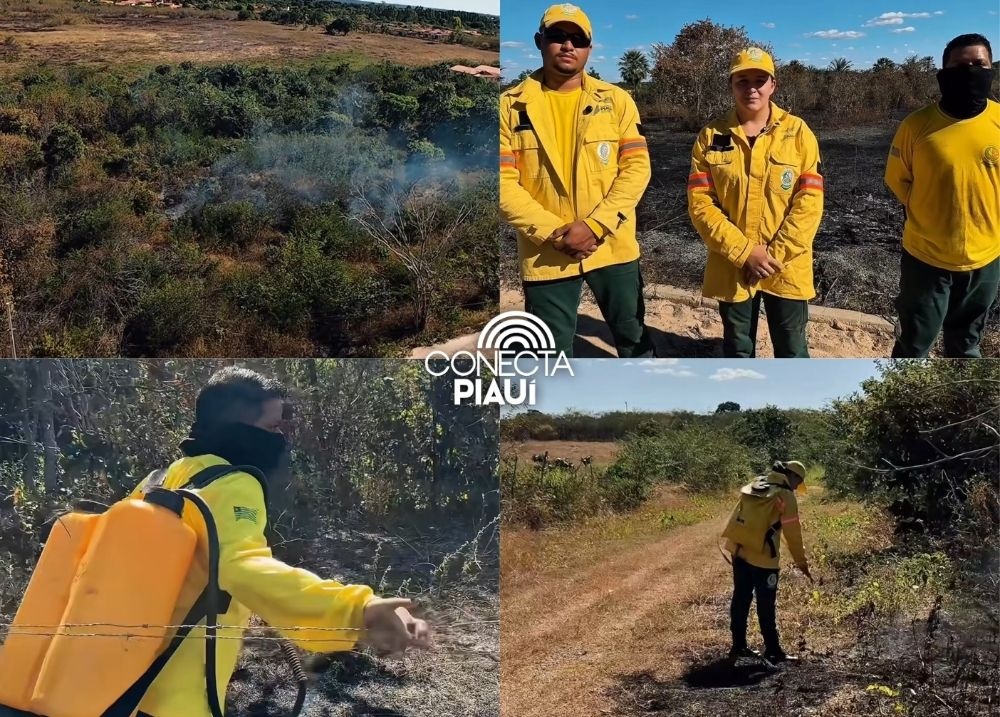 Brigada Municipal contém princípio de incêndio em José de Freitas e faz alerta