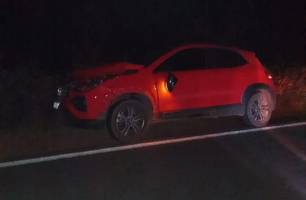 Carro colide contra cavalo na PI-115, em Castelo do Piauí; motorista escapa ileso (Foto: Reprodução)