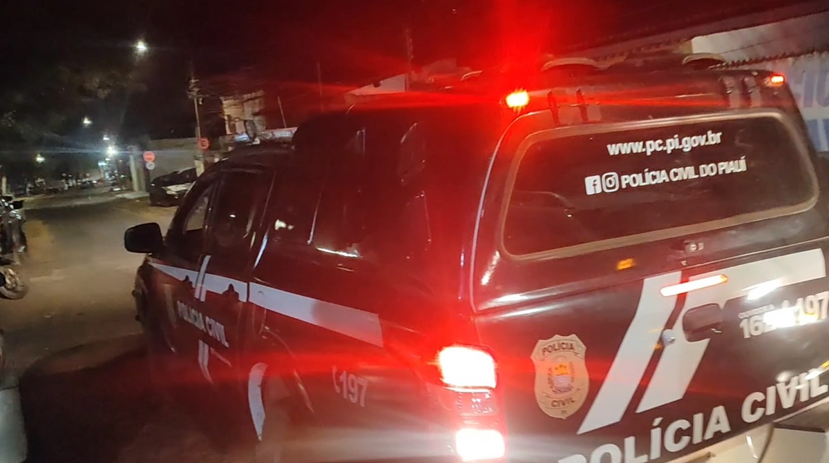 Cinco pessoas são presas por furto e violência doméstica em Amarante e Água Branca
