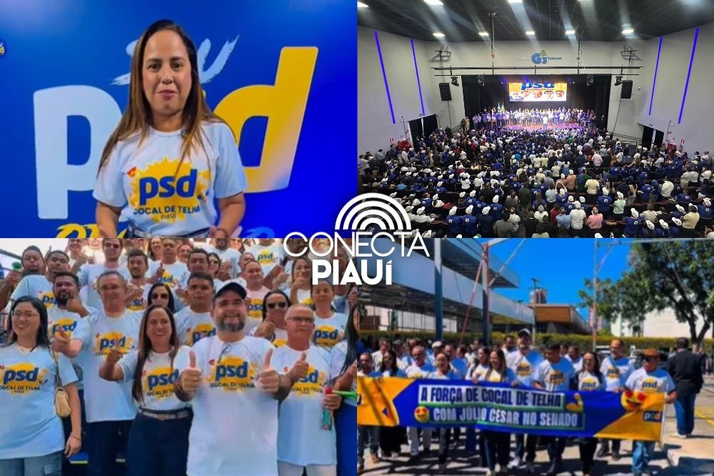 Cocal de Telha declara apoio total ao PSD durante encontro do partido