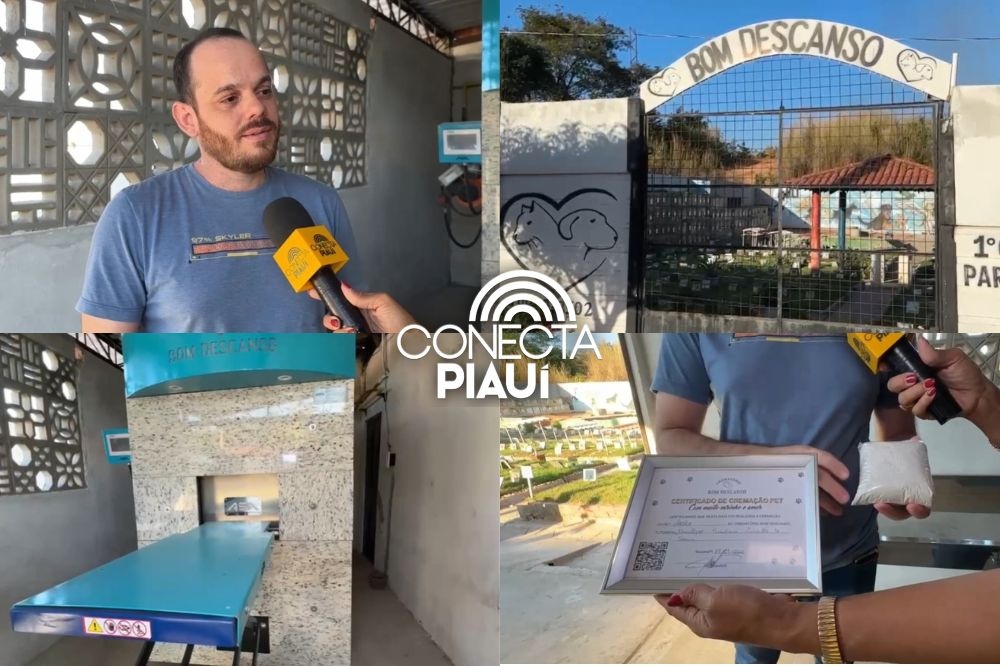 Crematório de pets em Teresina oferece despedida afetiva e entrega de cinzas
