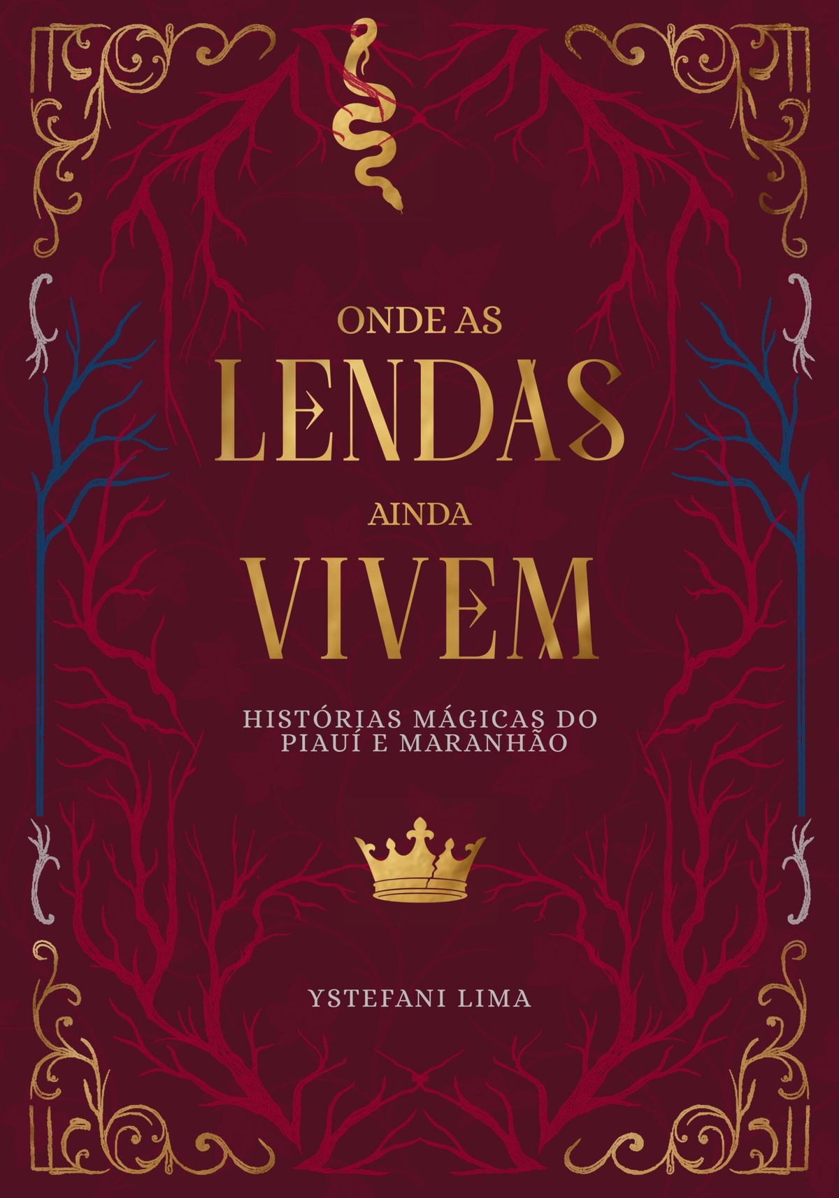 Escritora de Piracuruca lança livro sobre lendas do Piauí e Maranhão