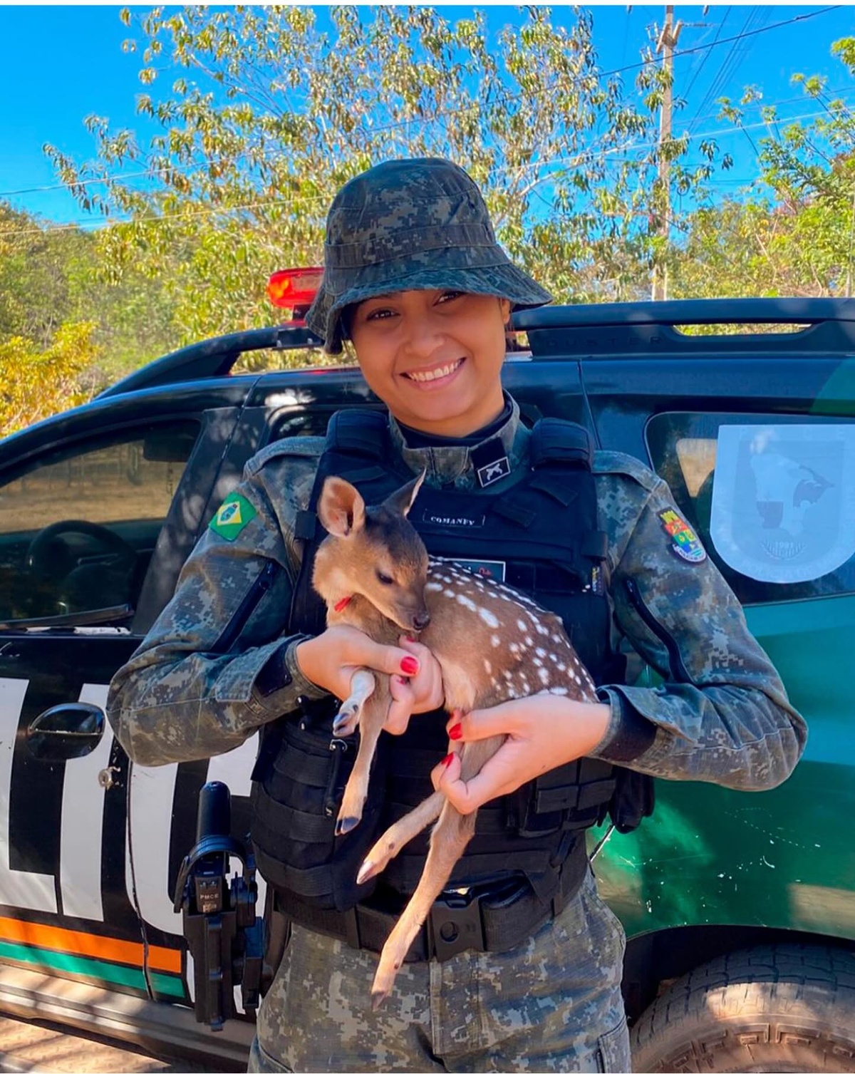 Filhote de veado resgatado por policial ambiental no Ceará encanta a web
