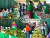 Governo do Piauí anuncia mais de R$ 100 milhões para a agricultura familiar