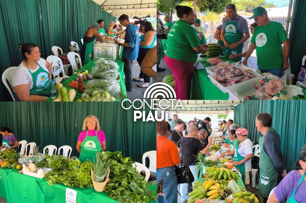 Governo do Piauí anuncia mais de R$ 100 milhões para a agricultura familiar