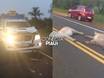 Homem bate carro recém-adquirido com jumentos na PI-113 entre Barras e Cabeceiras